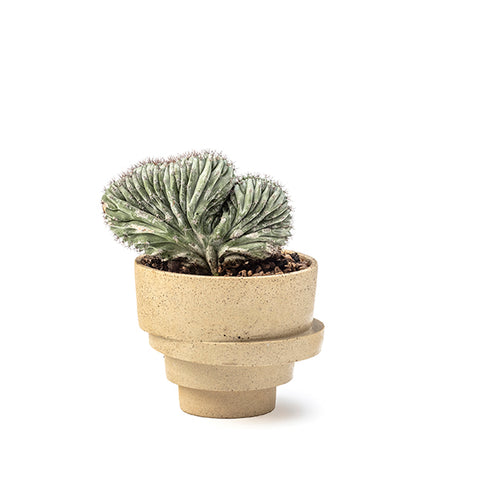 The small stacked flowerpot
